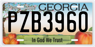 GA license plate PZB3960