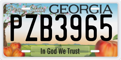 GA license plate PZB3965