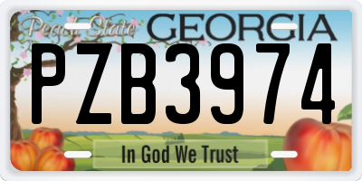 GA license plate PZB3974