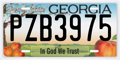 GA license plate PZB3975
