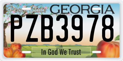 GA license plate PZB3978