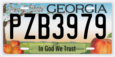 GA license plate PZB3979