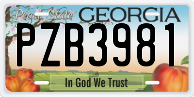GA license plate PZB3981