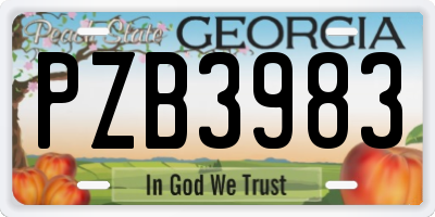 GA license plate PZB3983