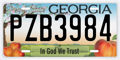GA license plate PZB3984