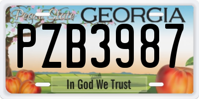 GA license plate PZB3987