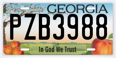 GA license plate PZB3988