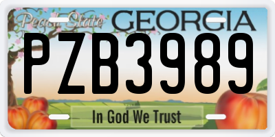 GA license plate PZB3989