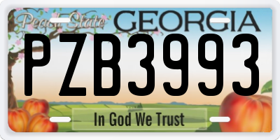 GA license plate PZB3993