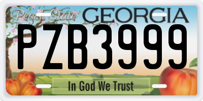 GA license plate PZB3999
