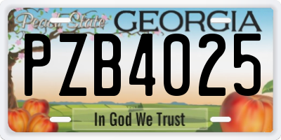 GA license plate PZB4025