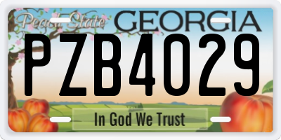 GA license plate PZB4029
