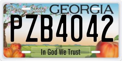 GA license plate PZB4042