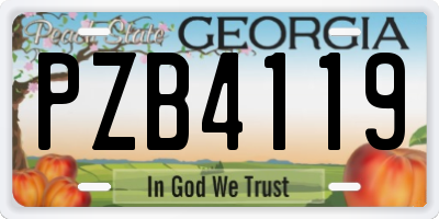 GA license plate PZB4119