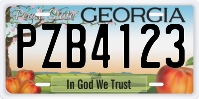 GA license plate PZB4123