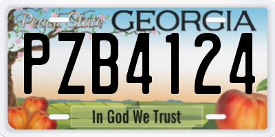 GA license plate PZB4124