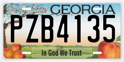 GA license plate PZB4135