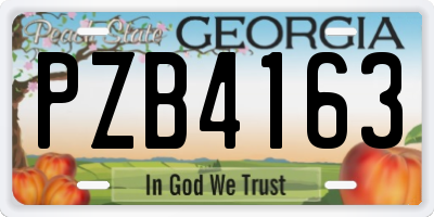 GA license plate PZB4163