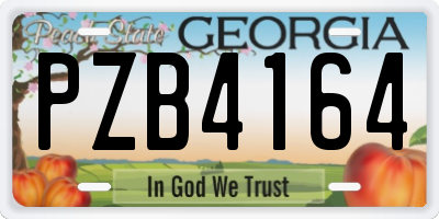 GA license plate PZB4164