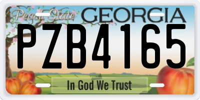 GA license plate PZB4165