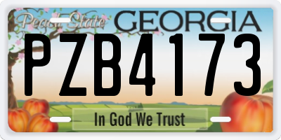 GA license plate PZB4173