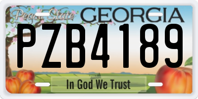 GA license plate PZB4189