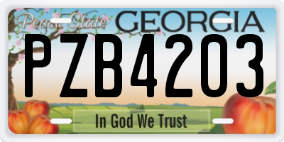 GA license plate PZB4203