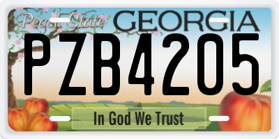 GA license plate PZB4205