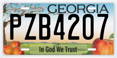 GA license plate PZB4207