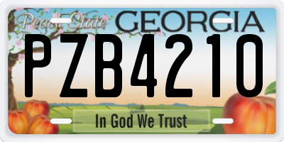 GA license plate PZB4210