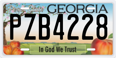 GA license plate PZB4228
