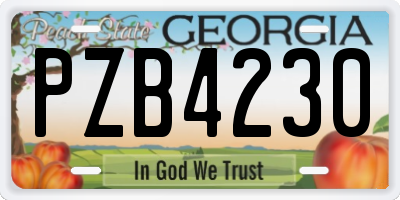 GA license plate PZB4230