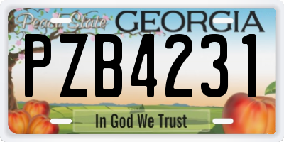 GA license plate PZB4231