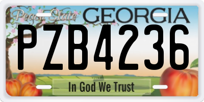 GA license plate PZB4236