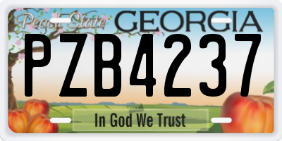 GA license plate PZB4237