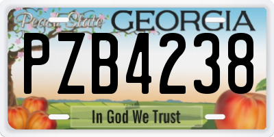 GA license plate PZB4238