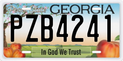 GA license plate PZB4241