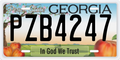 GA license plate PZB4247