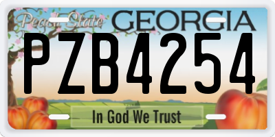 GA license plate PZB4254