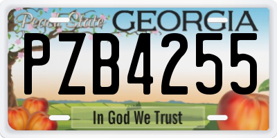 GA license plate PZB4255