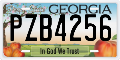 GA license plate PZB4256
