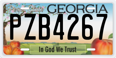 GA license plate PZB4267