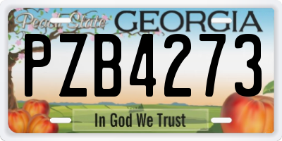 GA license plate PZB4273