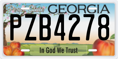 GA license plate PZB4278