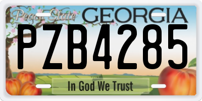 GA license plate PZB4285