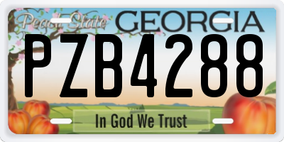 GA license plate PZB4288