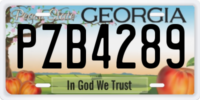 GA license plate PZB4289