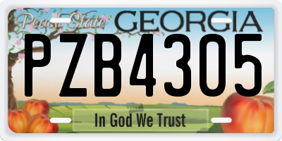 GA license plate PZB4305