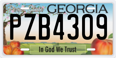 GA license plate PZB4309