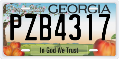 GA license plate PZB4317